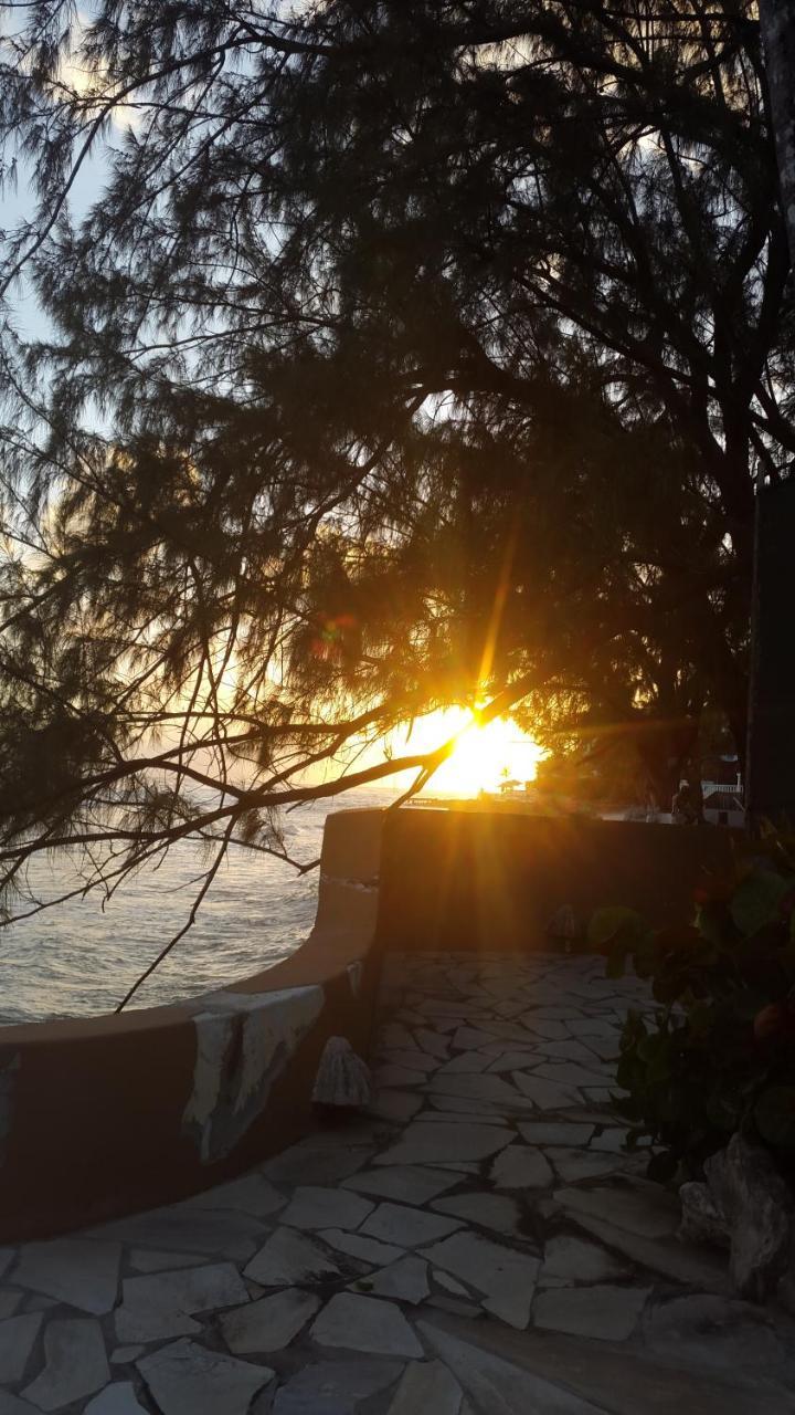 Pgs -Surf, Work, Relax Hotel ไครสต์เชิร์ช ภายนอก รูปภาพ